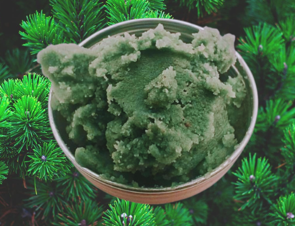 Projekt bez nazwy (23)